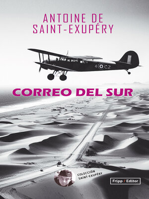 cover image of CORREO DEL SUR